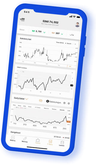 Meridian Wertholm digital web application on mobile device